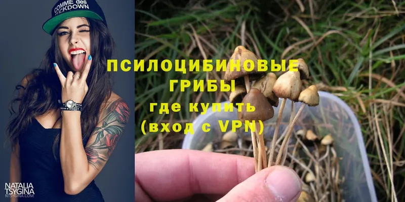 Галлюциногенные грибы Psilocybine cubensis  Игра 